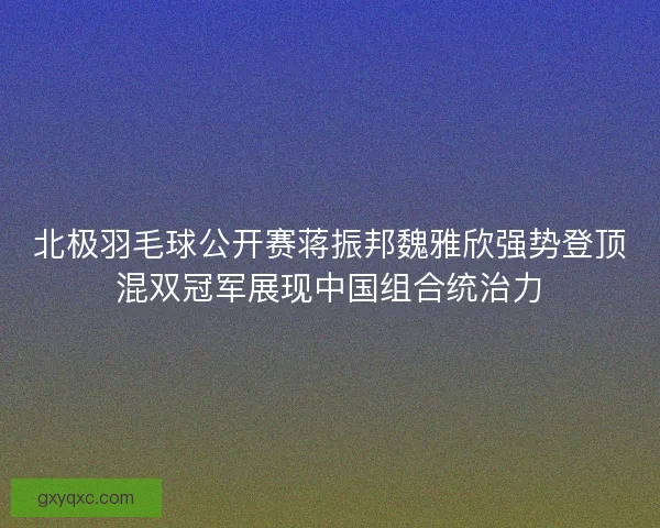 北极羽毛球公开赛蒋振邦魏雅欣强势登顶混双冠军展现中国组合统治力