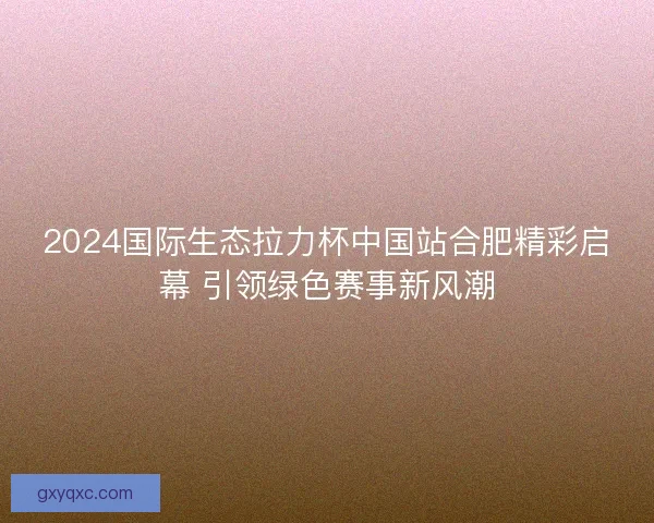 2024国际生态拉力杯中国站合肥精彩启幕 引领绿色赛事新风潮