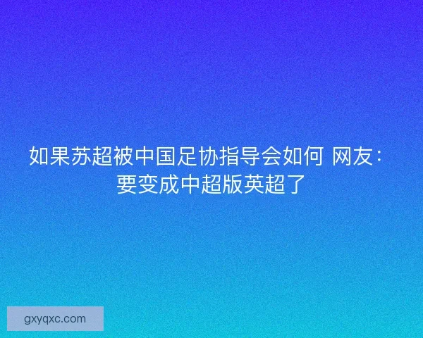 如果苏超被中国足协指导会如何 网友：要变成中超版英超了