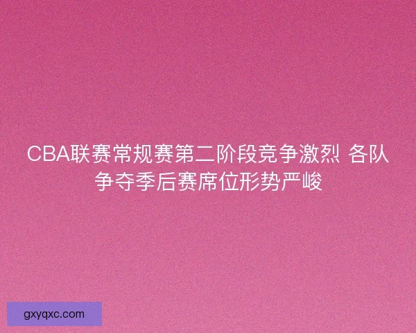 CBA联赛常规赛第二阶段竞争激烈 各队争夺季后赛席位形势严峻