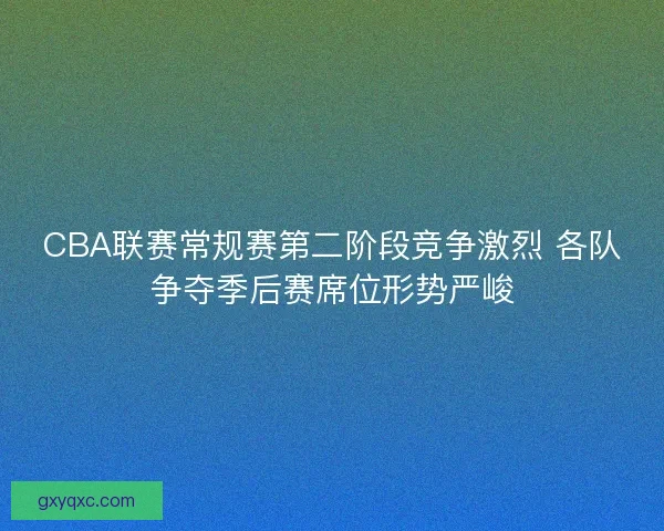 CBA联赛常规赛第二阶段竞争激烈 各队争夺季后赛席位形势严峻